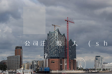 公司注冊股東人數(shù)越多越好嗎？
